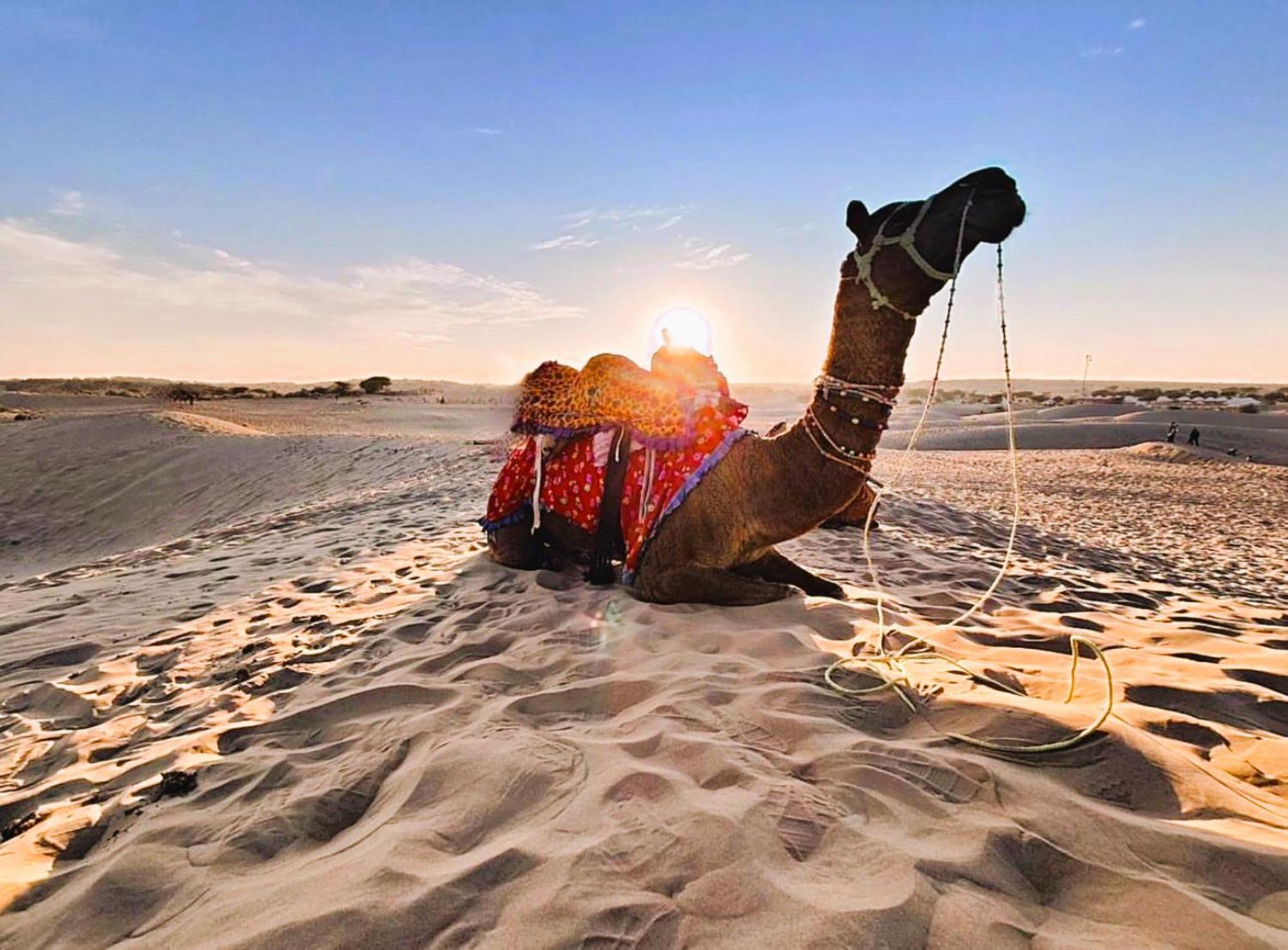 Jaisalmer Sand Dunes Luxury Camp And Resort 外观 照片