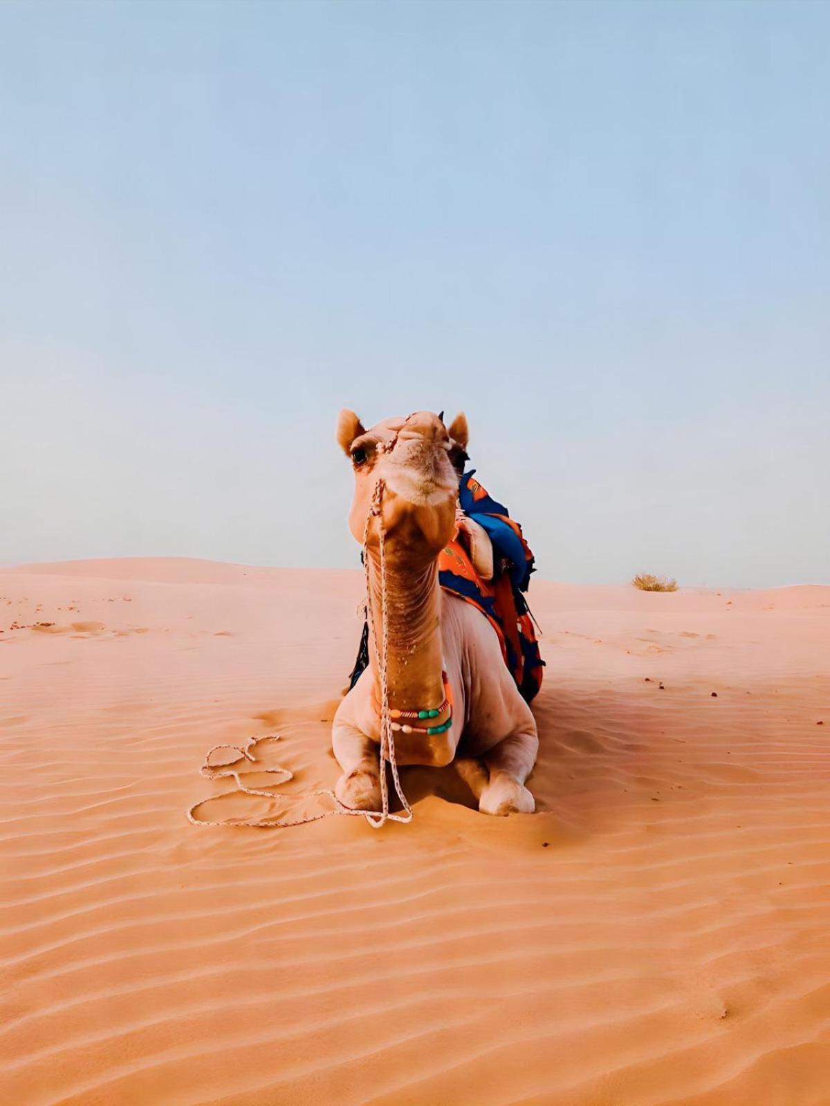 Jaisalmer Sand Dunes Luxury Camp And Resort 外观 照片